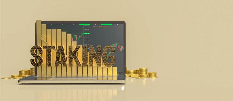 What is staking